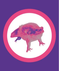 La lente et difficile agonie du crapaud buffle sur le socle patriarcal