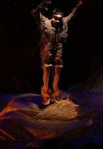 Affiche du spectacle Le Vilain petit canard